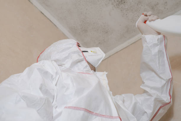 Best Residential Mold Removal  in Olney, TX